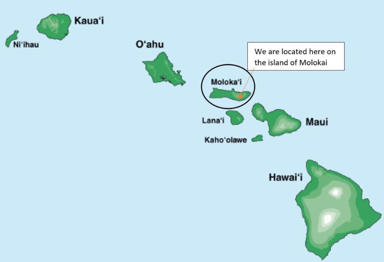 Апартаменты Molokai Island Retreat With Beautiful Ocean Views And Pool - Newly Remodeled! Ualapue Экстерьер фото